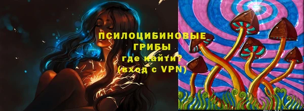 молекула духа Алексеевка