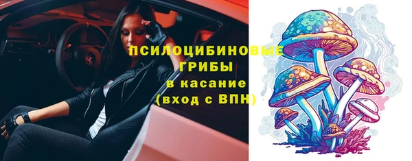 молекула духа Алексеевка