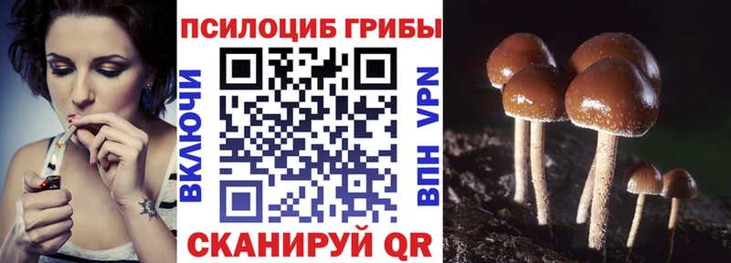 Псилоцибиновые грибы Psilocybe  Оленегорск 